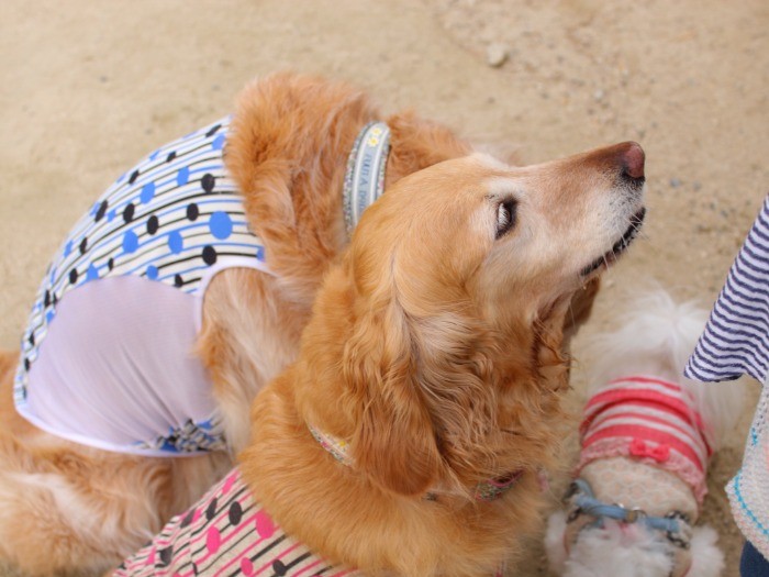 みんなで、おやつタイム