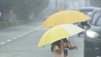 前線停滞で大雨続く 岡山県北を中心に200ミリを超える雨