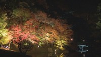 栗林公園で11月23日から秋のライトアップ 12月3日まで 高松市
