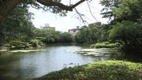 栗林公園に出没したイノシシ 最後の1頭を捕獲…臨時閉園は回避 高松市