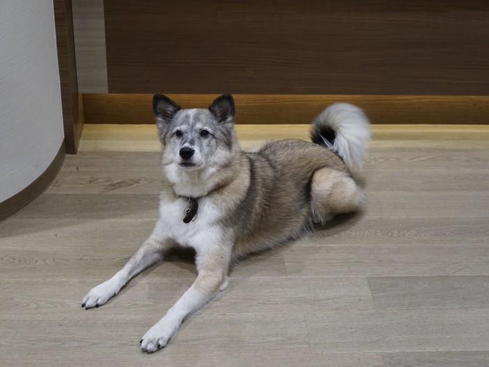 しゃきっとした顔もできるぞ(あまり変わってないか)