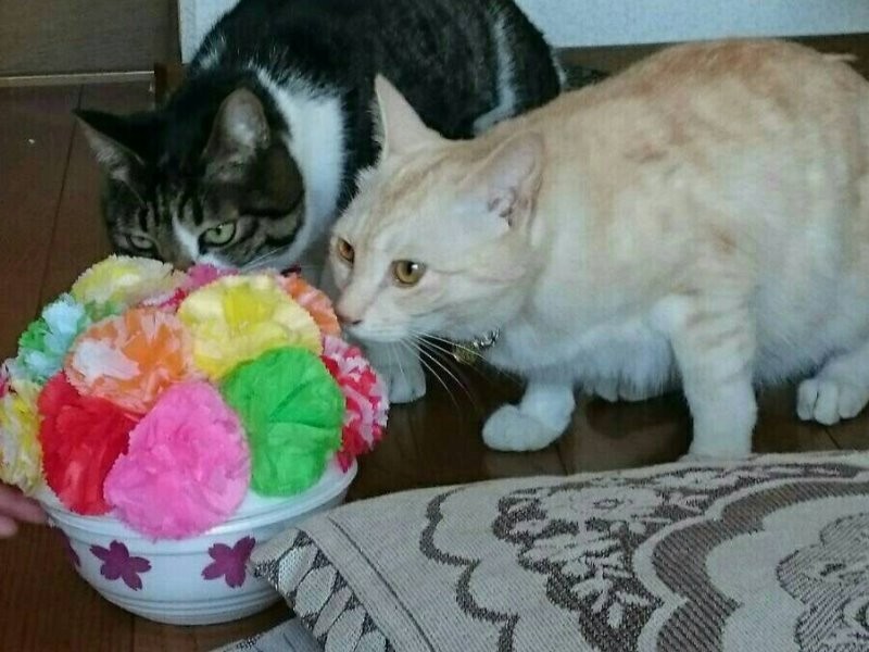 「綺麗なお花だね」「おばあちゃんが作ったんだって」