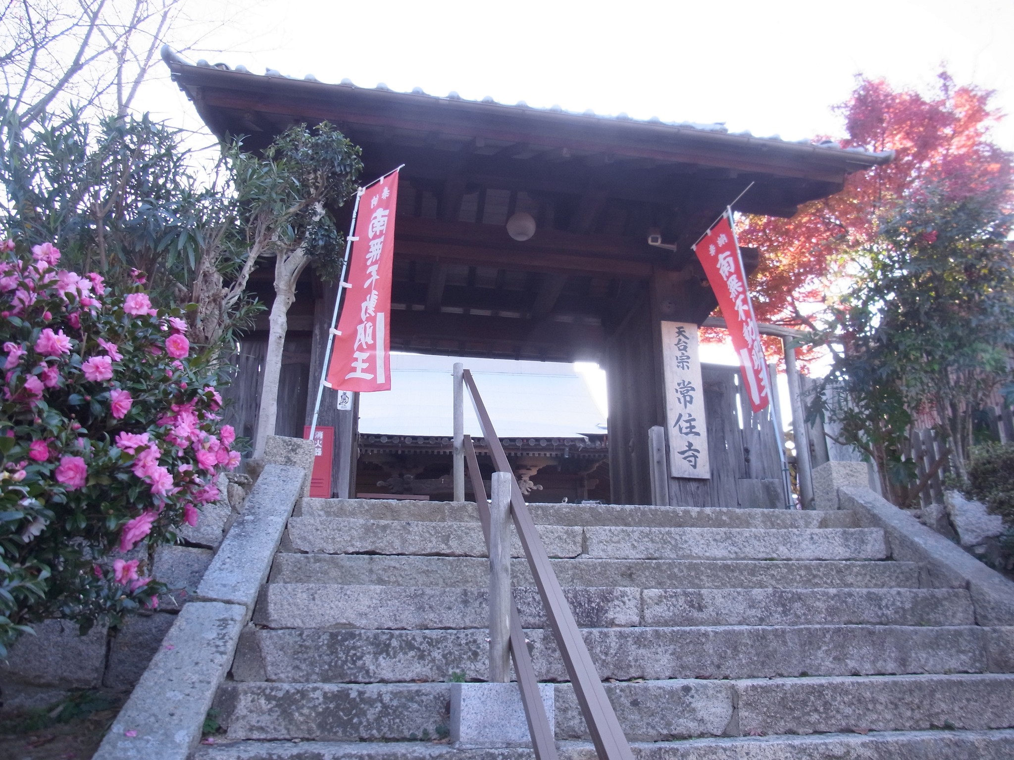 謎の破れ寺はお殿様の"プライベート寺"だった! 住民の手助けで華麗に転身、地域の元気の源に