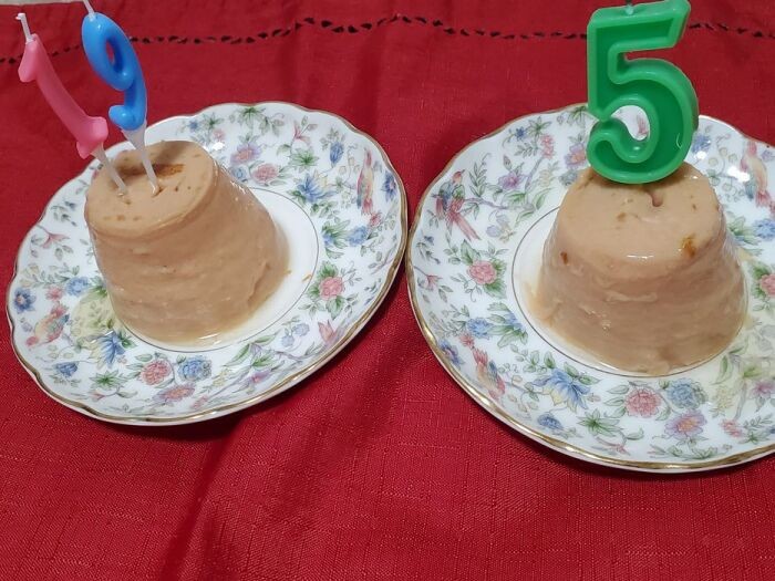 イヌオにはちゅーるタワー(はっぴーもおまけ)