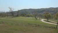 岡山・香川で季節外れの暖かさ 高梁や津山などで「今年初の夏日」を観測