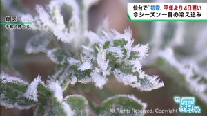 宮城県で今シーズン一番の冷え込み 仙台で初霜を観測