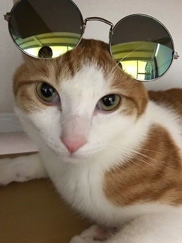 「どう?決まってる?」(提供写真)