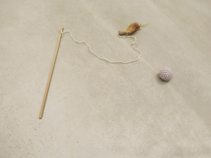 左はどんこの飼い主の井上佐由紀さんにもらった猫じゃらし