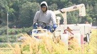 EXILEメンバーの橘ケンチさんが酒米の稲刈り 西日本豪雨で被害を受けた矢掛町で稲刈り機も操作 岡山