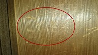 国宝の講堂の柱や壁に落書き 人名など刻む…国宝のため削って消せず 岡山・旧閑谷学校