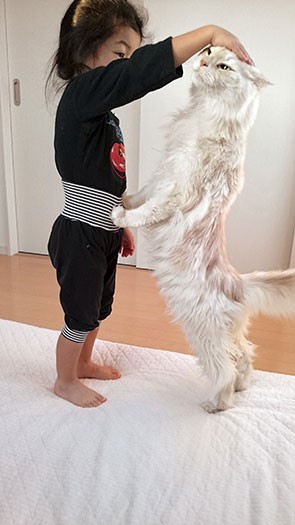 2本足で立ってまーちゃんに「撫でて」と要求するトロ。この動作は、ツナやトヨにも引き継がれた