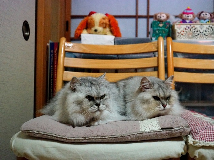 同じ方向を見ています