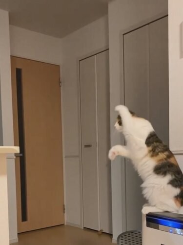 ジャンプしようとするティナ