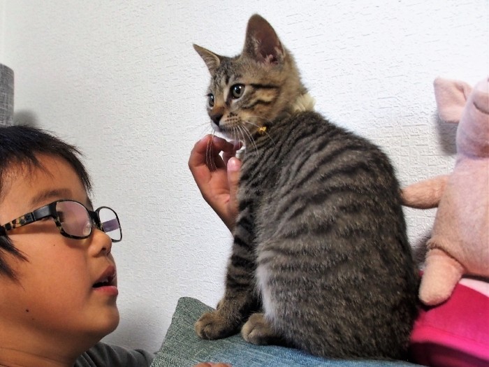 フクは、まだちっちゃくて柔らかい