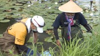 ビール工場で絶滅危惧種の保全活動 ドジョウの仲間アユモドキの稚魚の調査 岡山市