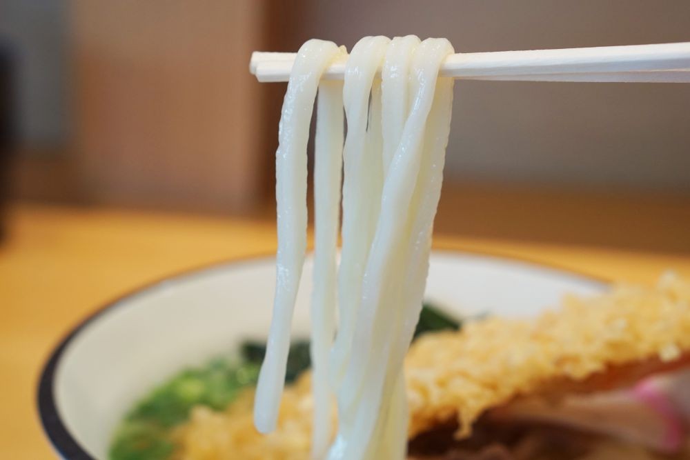 「今、本当に充実しています」被災後、再スタートを切った真備のうどん店