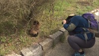 【特集】ネコも人も幸せに!地域猫活動とは? 岡山