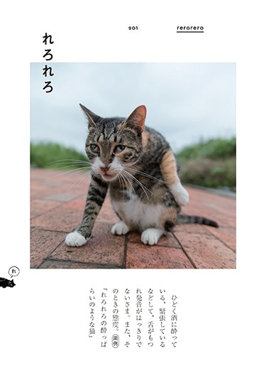 「ぎおんご ぎたいご にゃんこ」より(沖昌之撮影、青春出版社提供)