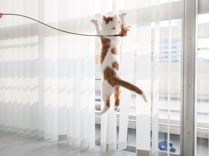 みごとなジャンプ!?