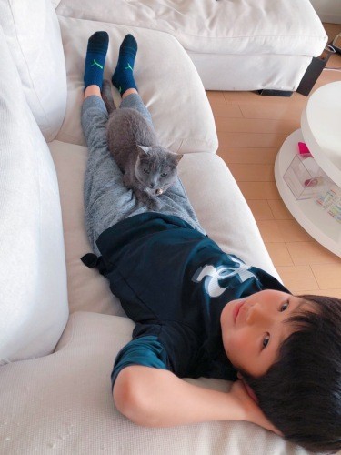 長男の足にちょこん。「大きくなったにゃんね」(まみさん提供)