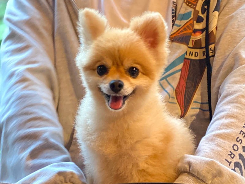 パパの抱っこにご満悦(お母さん提供)