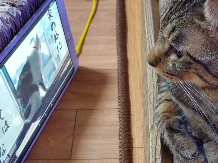 家の外に出してはいけない「俺出たことないな」