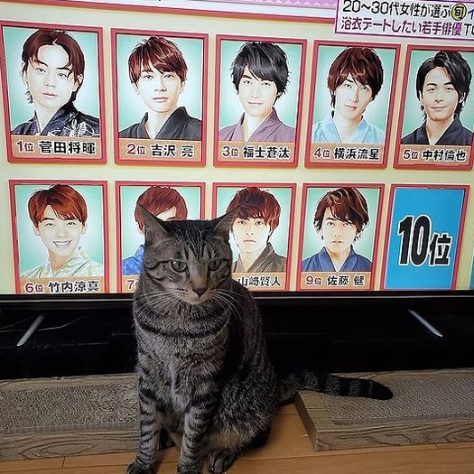 インスタの面白さはその時々の瞬間を切り取ること(テレビでデートしたい相手10位を決めるとき、はっぴーが「オレ」と画面の前に!)