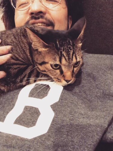 2020年秋。Shingoさんと昼寝するムギ。「寝心地良いの」(Shingo Suzukiさん提供)