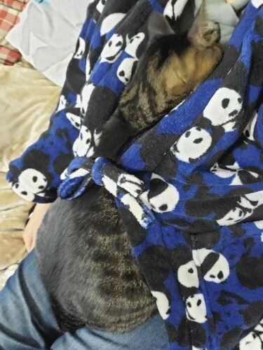 気づくとむちむちに