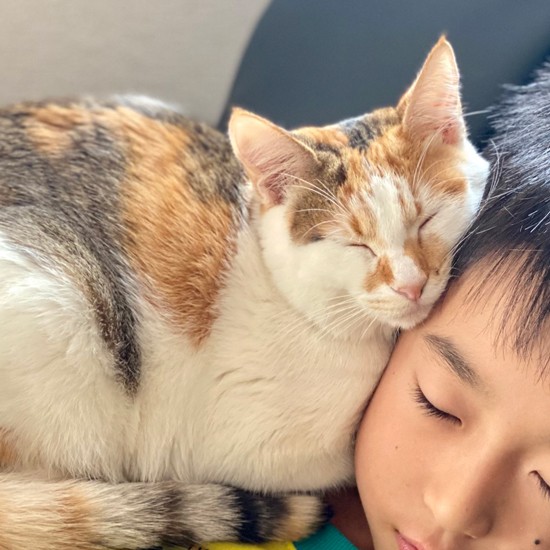 長男のかいくんとマーズは左ほほの同じ位置にほくろがある。「運命にゃん」しかも、かいくんも前に交通事故にあったそう。「九死に一生得た兄弟にゃん」(Aさん提供)