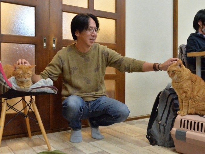 来春は人と猫がビルに大移動「新たな会社ではライブや譲渡会ができるカフェを作りたいんです」と鶴田さん