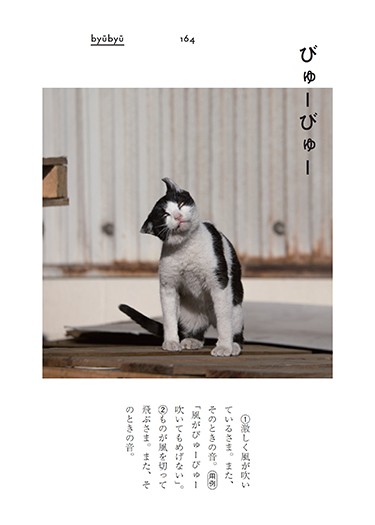 「ぎおんご ぎたいご にゃんこ」より(沖昌之撮影、青春出版社提供)