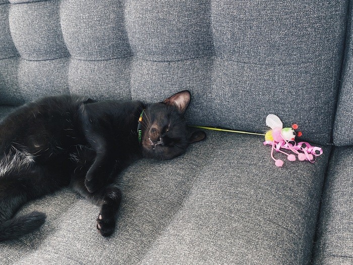 頭からお花が出ている。陽気な人っぽく見えて可愛いね~。「実際陽気」(佳代子さん提供)