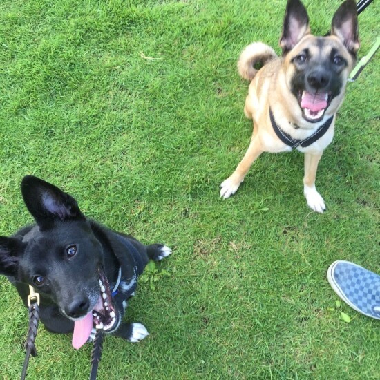 やっぱり姉妹。仕草が似ている