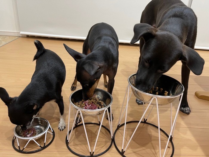 大中小兄弟(提供:お母さん)