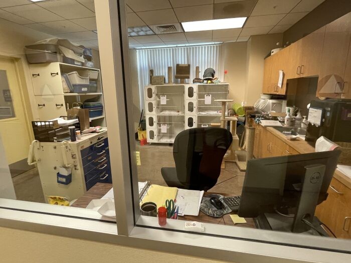 施設の裏側。一般公開されていないこちらのエリアでは、トレーニングや治療を受けている子、譲渡が可能な週齢に満たない子犬や子猫などが暮らしている