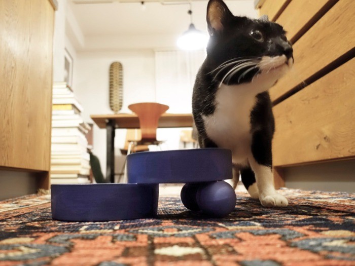 ゴハンもっとちょうだい