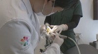若手の歯科医師を遠隔で指導 3D模型×5Gネットワークでより多くの経験を 香川・多度津町