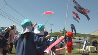 デニム柄のこいのぼりが空を舞う 2mの“大きなジーンズ”もはためく 岡山・倉敷市