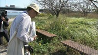 強毒のヒアリの生息を調査 おととし約300匹が見つかった水島港 岡山