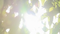 岡山・香川の各地で3日連続の「夏日」 23日以降の最高気温は平年並みか下回る予報