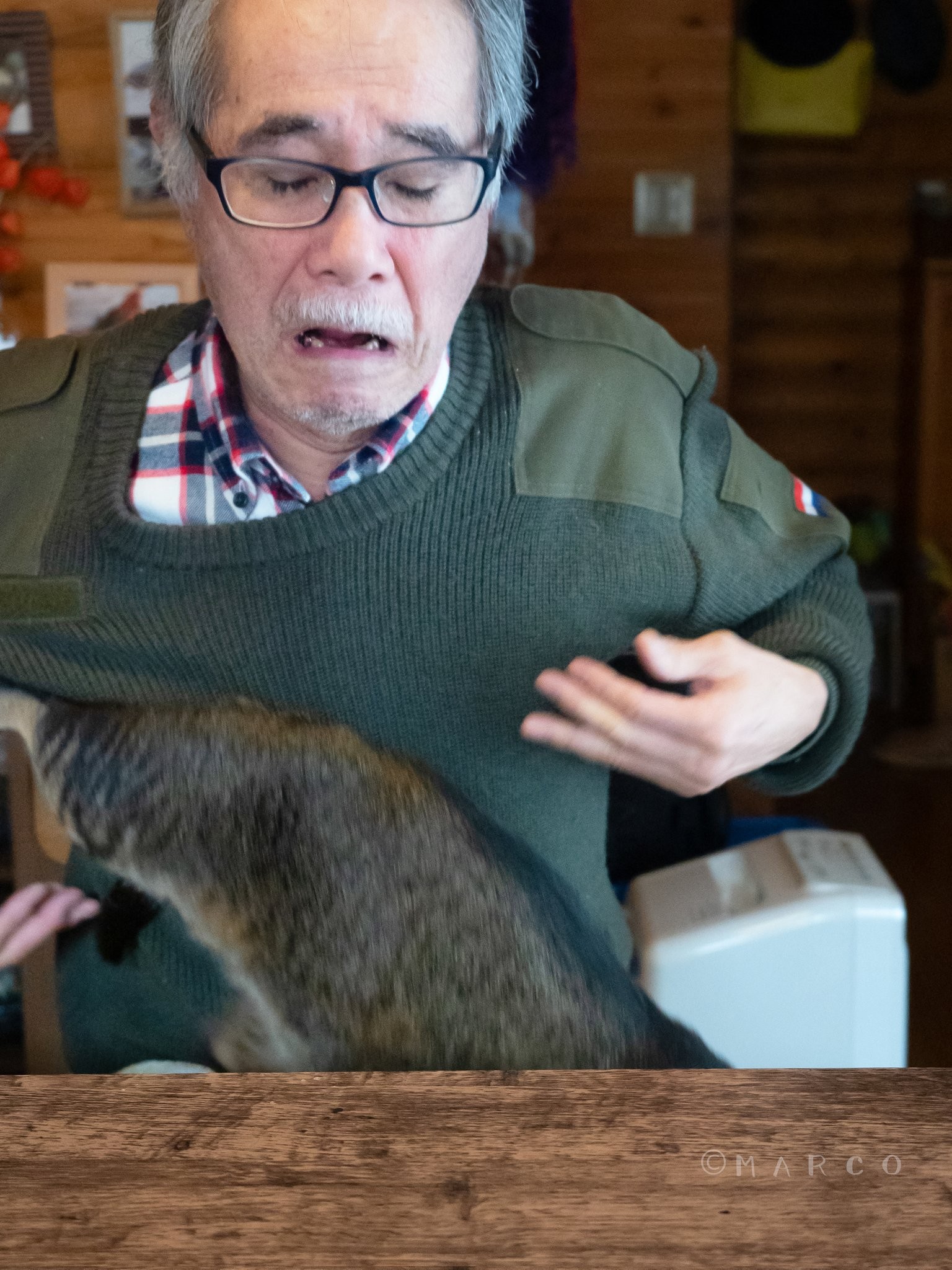 無念!猫を落としたお父さん 4コマ漫画みたいなツイートに6万の「いいね」