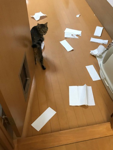 見つかっちゃった!