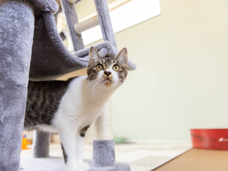 カメラはお好き?