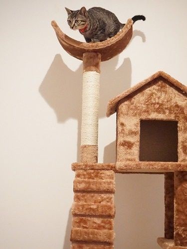 「健康のためには運動がいいのよね」