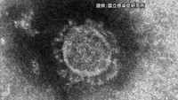 〈新型コロナ〉香川県では新たに9人が感染 県内の感染者は累計537人に