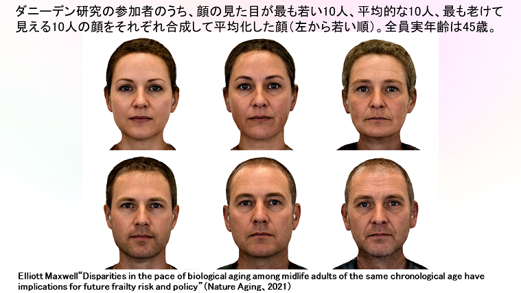 ダニーデン研究の写真 見た目の若い人・平均的な人・老いた人