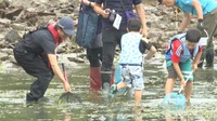 海のゆりかご「藻場」を観察し大切さ学ぶ 里海を考える勉強会 香川・坂出市