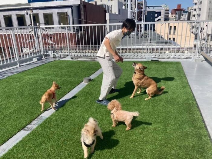 老犬シェルターの屋上にて。何歳になっても犬は遊ぶことが大好き。遊んでくれてありがとう!