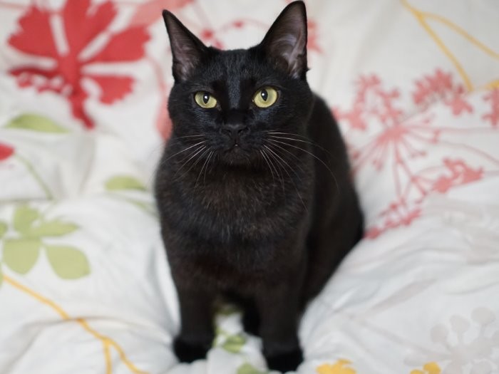 ゆず君「女子はみんな僕を好きだと思うな」